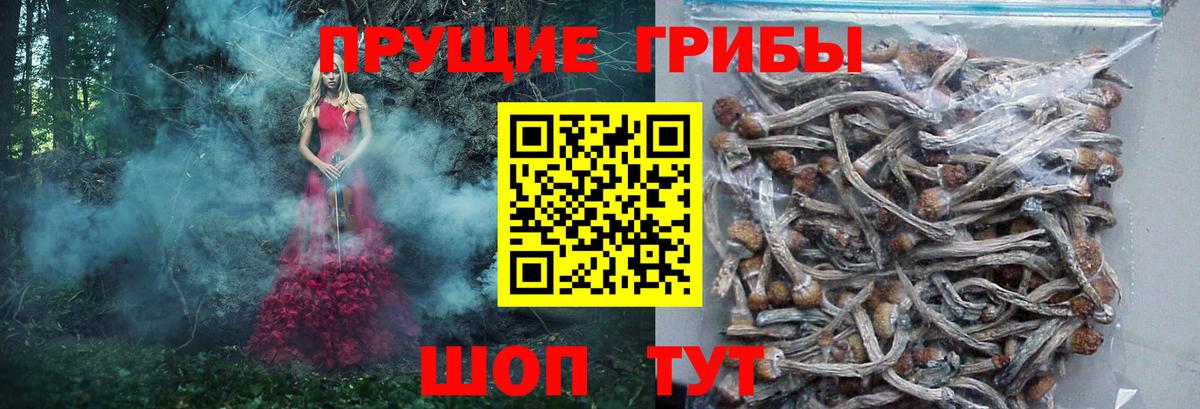 Галлюциногенные грибы прущие грибы  Вход с VPN  Псилоцибиновые грибы прущие грибы  Полевской 